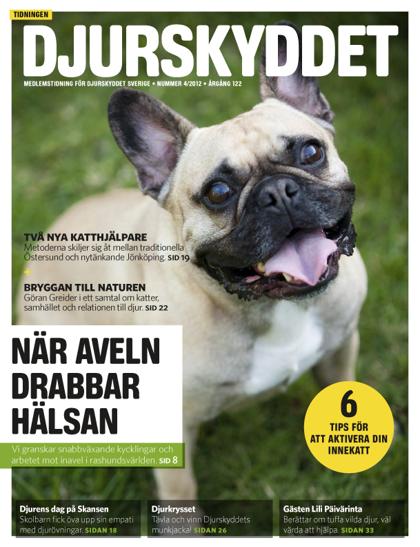 Djurskyddet Nr 4 2012_framsida
