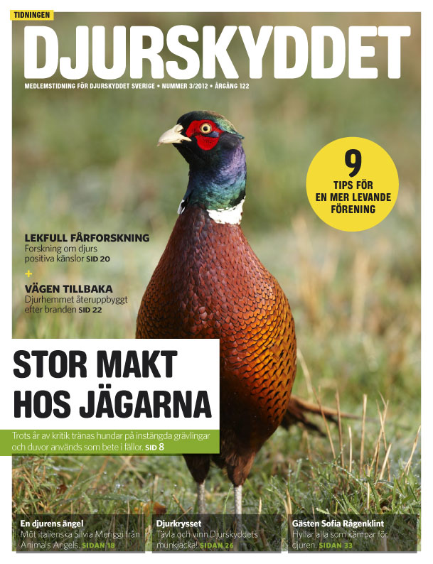 Nr 3 2012_webb_framsida