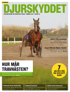 Nr 4 2011_framsida_hogerkolumn