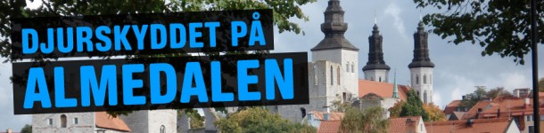 almedalen