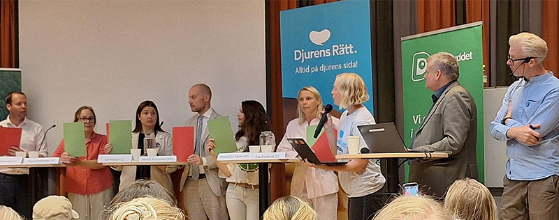 Politikerpanelen håller upp gröna respektive röda skyltar.