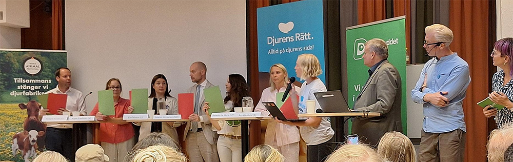 Politikerpanelen håller upp gröna respektive röda skyltar.